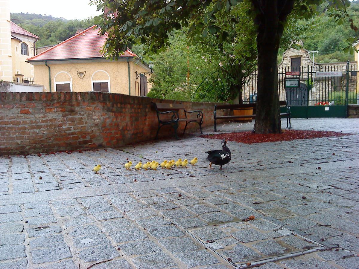 Schloss Gumpoldskirchen Dış mekan fotoğraf
