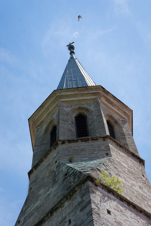 Schloss Gumpoldskirchen Dış mekan fotoğraf